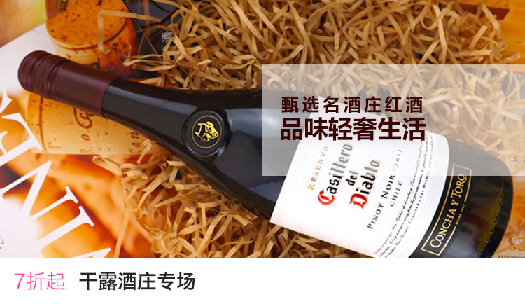 干露酒庄专场